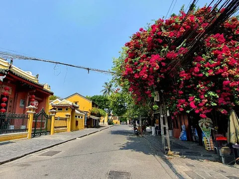 Phố cổ Hội An “đìu hiu” giữa lúc dịch bùng phát